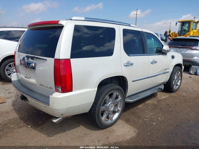 2010 CADILLAC ESCALADE 1GYUKBEF6AR250225 Photo 3