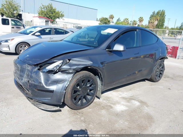 2023 TESLA MODEL Y 7SAYGDEE5PF588017 Photo 1