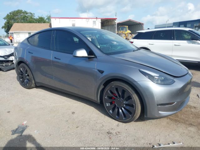 2024 TESLA MODEL Y 7SAYGDEF5RA294237