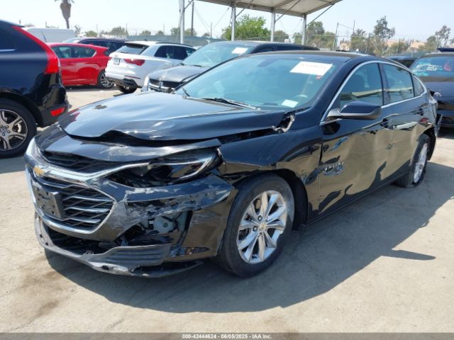 2019 CHEVROLET MALIBU 1G1ZD5ST6KF160070 Photo 1