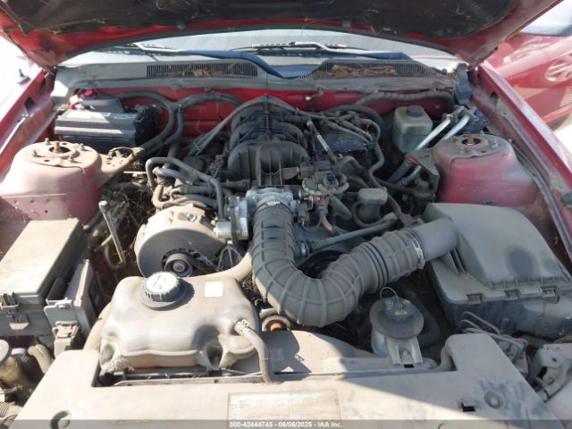 2005 FORD MUSTANG 1ZVFT80N355125190 Photo 9