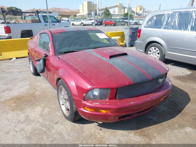 2005 FORD MUSTANG 1ZVFT80N355125190 Photo 5