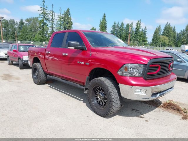 2009 DODGE RAM 1500 1D3HV13T79S708304