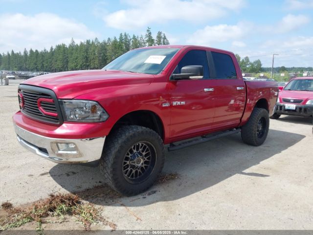 2009 DODGE RAM 1500 1D3HV13T79S708304 Photo 1