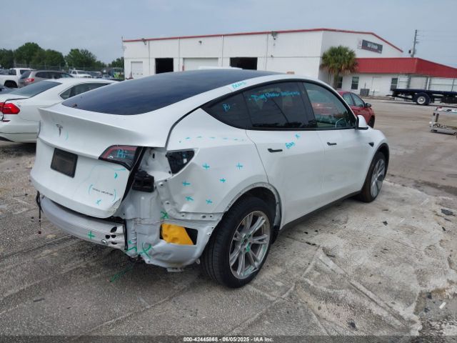 2023 TESLA MODEL Y 7SAYGDEE0PA065534 Photo 3