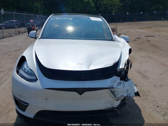 Tesla Model Y 2023 7SAYGDEE8PA121610 Image 11