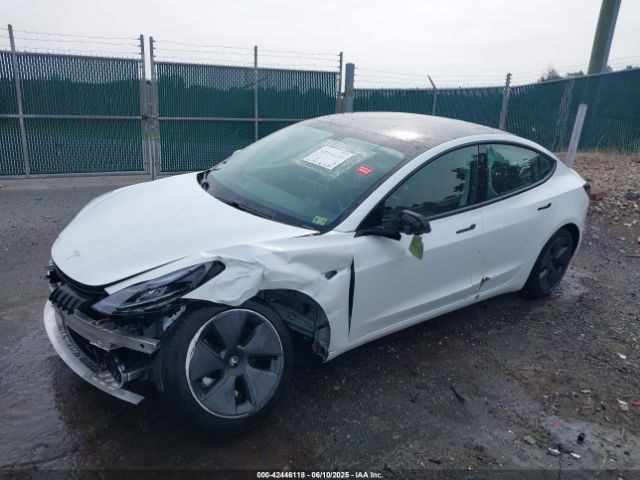 2021 TESLA MODEL 3 5YJ3E1EA8MF062940 Photo 1