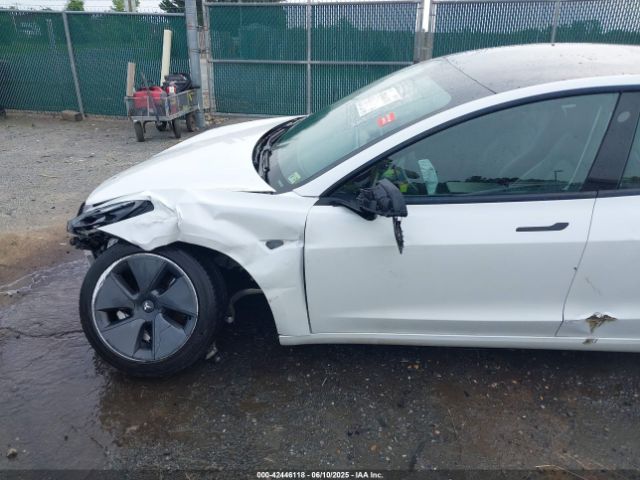 2021 TESLA MODEL 3 5YJ3E1EA8MF062940 Photo 5