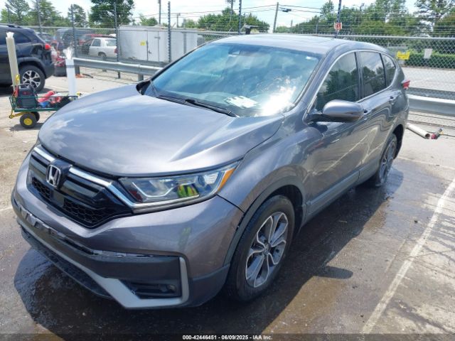 2020 HONDA CR-V 2HKRW1H58LH407583 Photo 1