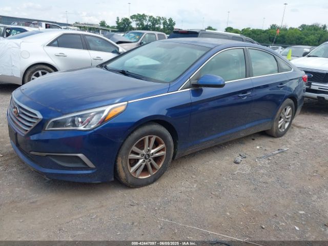 5NPE24AF7HH442766 Hyundai Sonata