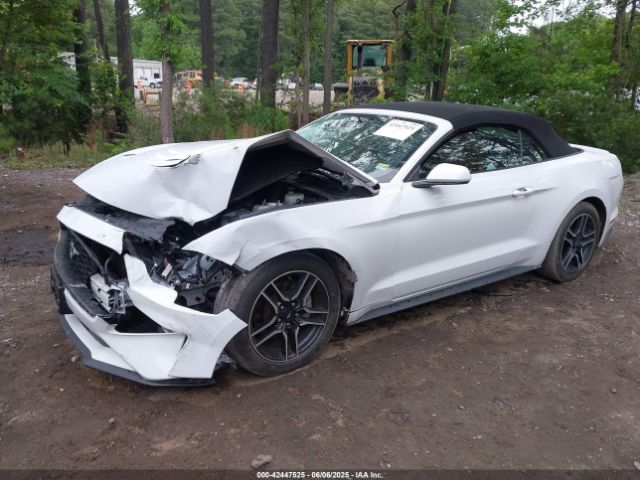 2022 FORD MUSTANG 1FATP8UH6N5119260 Photo 1