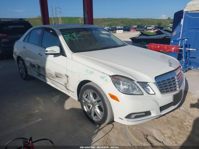 2010 MERCEDES-BENZ E 550 WDDHF7CB2AA132816