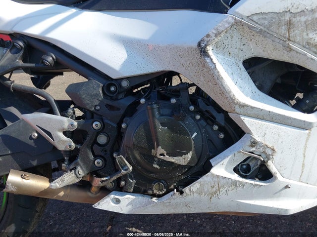Kawasaki Ninja 500 2024 ML5EXGH15RDA31609 Image 8