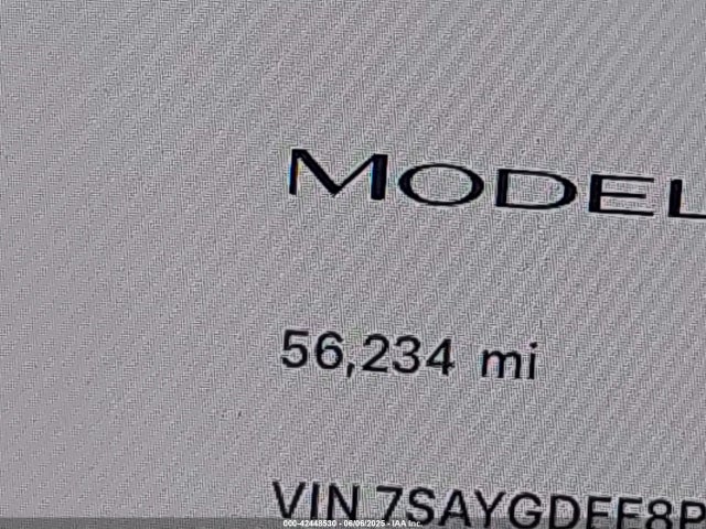 7SAYGDEE8PA162061 Tesla Model Y