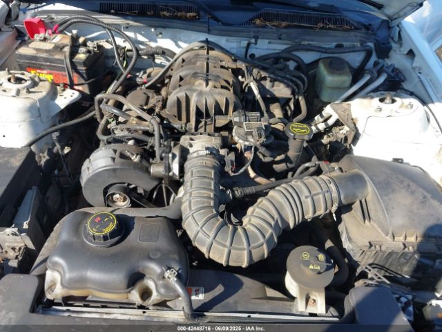 2005 FORD MUSTANG 1ZVFT80NX55112484 Photo 9