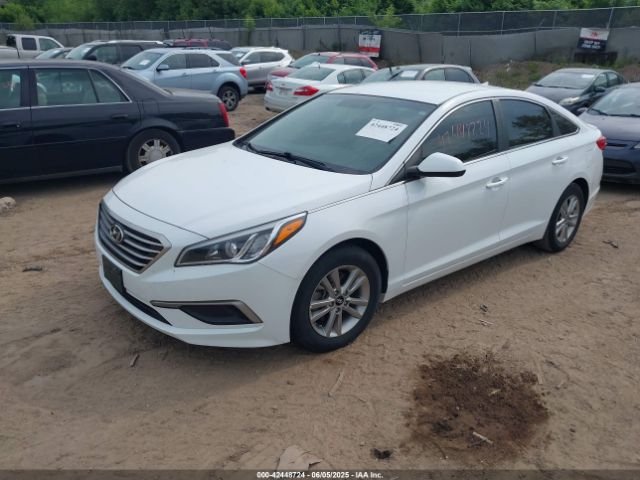 5NPE24AF6GH343564 Hyundai SONATA SE