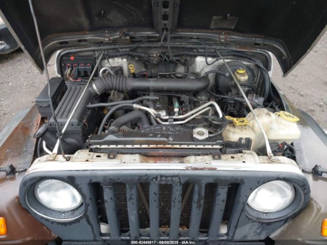 2006 JEEP WRANGLER 1J4FA49S76P710641 Photo 9