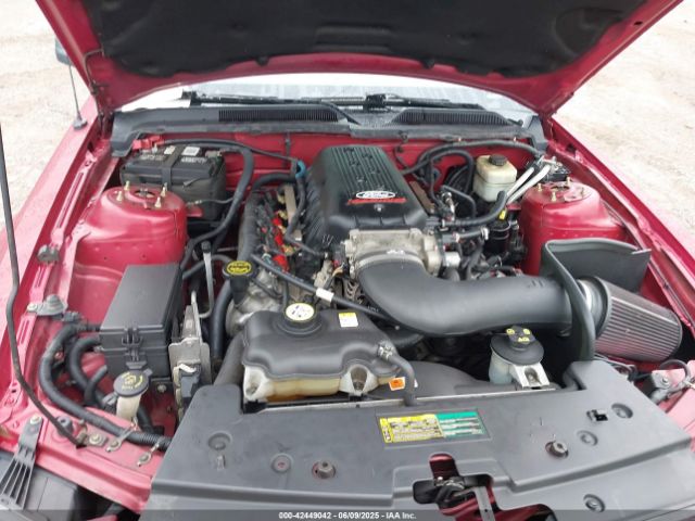 2007 FORD MUSTANG 1ZVHT82HX75223281 Photo 9