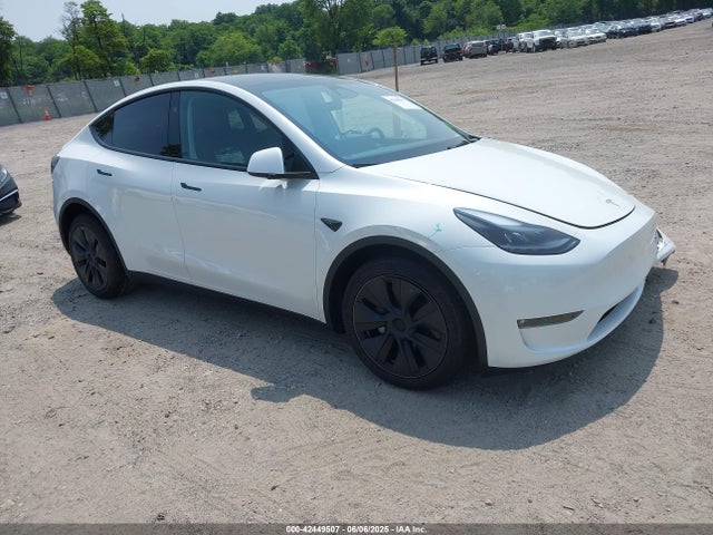 2024 TESLA MODEL Y 7SAYGDEE1RF185655 Photo 0