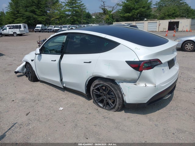 2024 TESLA MODEL Y 7SAYGDEE1RF185655 Photo 2