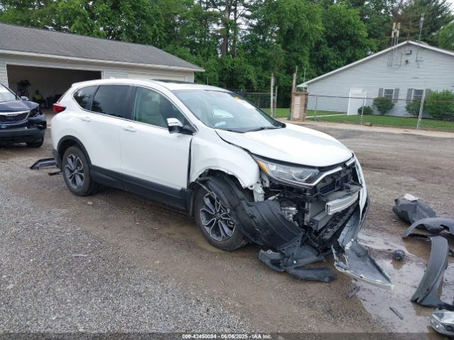 2020 HONDA CR-V 2HKRW2H82LH600215