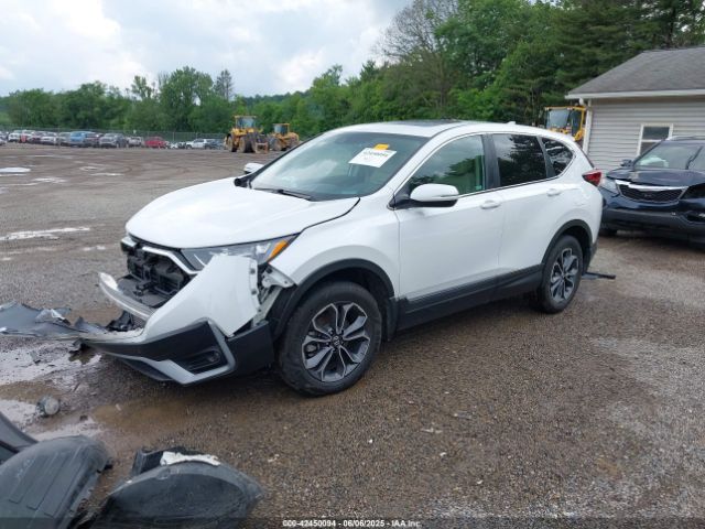 2020 HONDA CR-V 2HKRW2H82LH600215 Photo 1