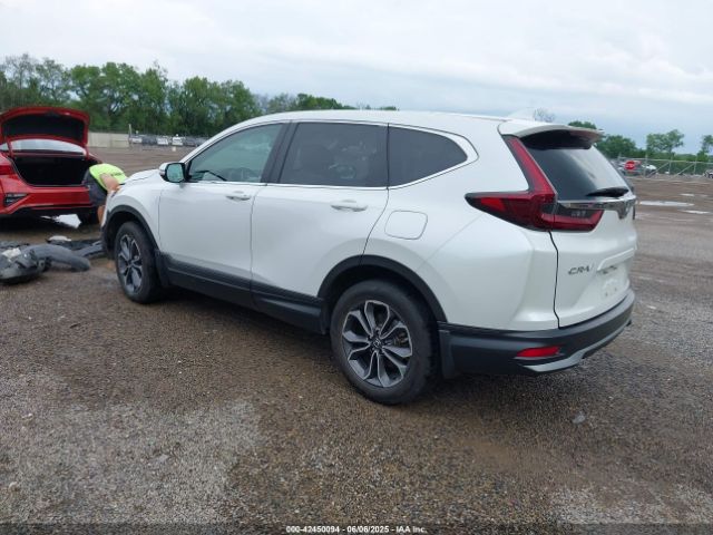 2020 HONDA CR-V 2HKRW2H82LH600215 Photo 2