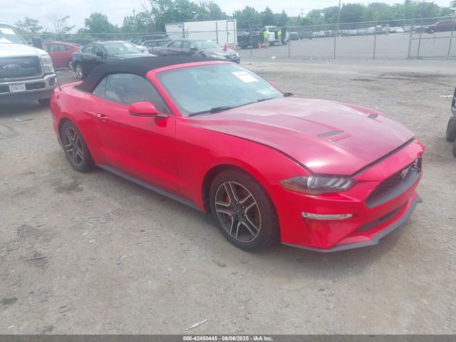 2019 FORD MUSTANG 1FATP8UH6K5181768