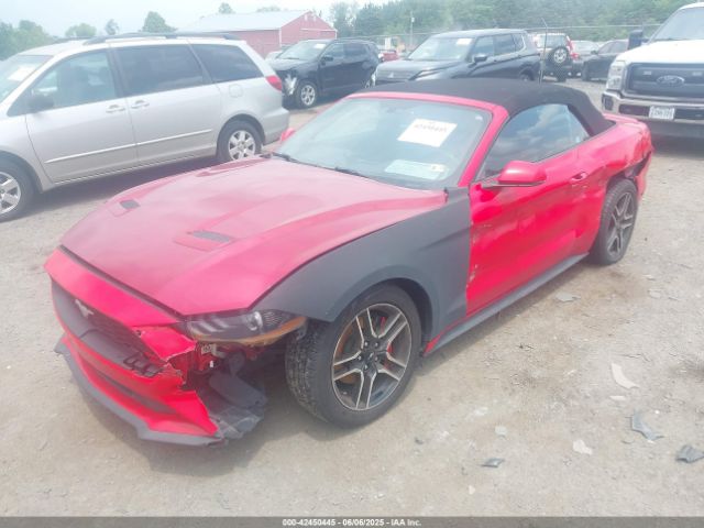 2019 FORD MUSTANG 1FATP8UH6K5181768 Photo 1