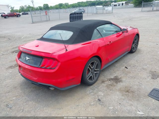 2019 FORD MUSTANG 1FATP8UH6K5181768 Photo 3
