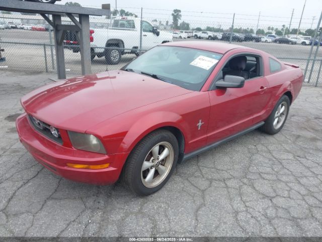 2008 FORD MUSTANG 1ZVHT80N985100100 Photo 1