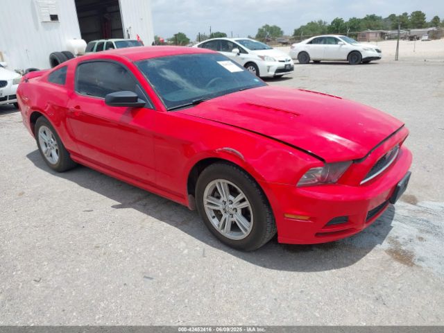 2013 FORD MUSTANG 1ZVBP8AM0D5262059