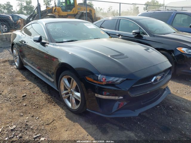 2019 FORD MUSTANG 1FA6P8TH0K5163443 Photo 0