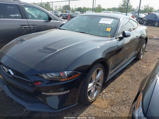 2019 FORD MUSTANG 1FA6P8TH0K5163443 Photo 1