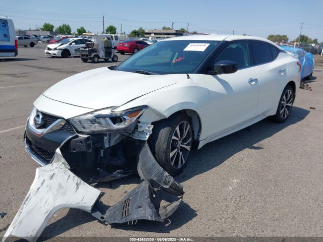 2017 NISSAN MAXIMA 1N4AA6AP1HC409561 Photo 1