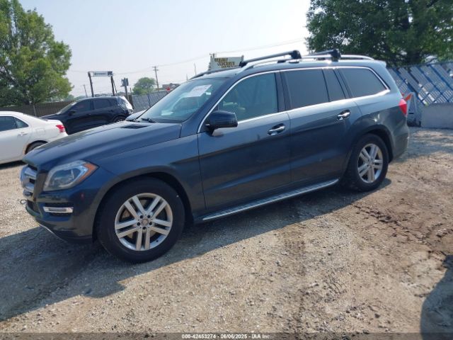 2013 MERCEDES-BENZ GL 450 4JGDF7CE8DA260013 Photo 1