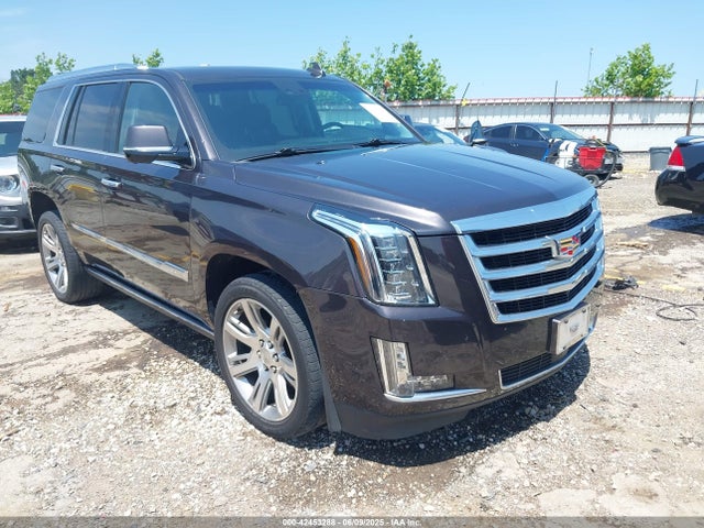 2017 CADILLAC ESCALADE 1GYS4CKJ6HR351341 Photo 0