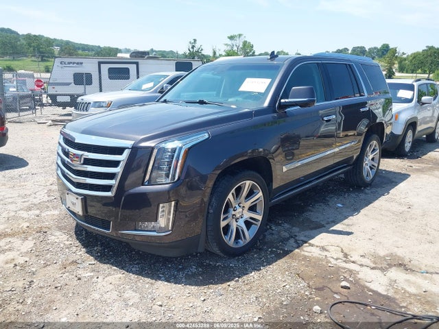 2017 CADILLAC ESCALADE 1GYS4CKJ6HR351341 Photo 1