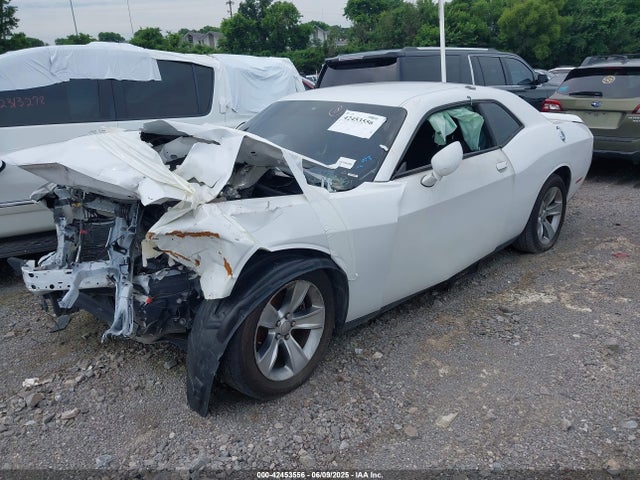 2020 DODGE CHALLENGER 2C3CDZAG1LH226490 Photo 1