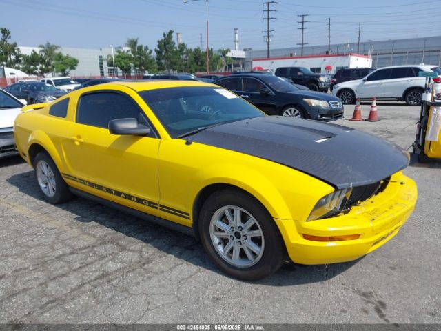 2006 FORD MUSTANG 1ZVFT80N265174513
