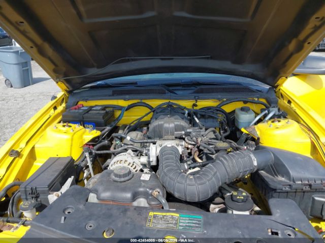 2006 FORD MUSTANG 1ZVFT80N265174513 Photo 9