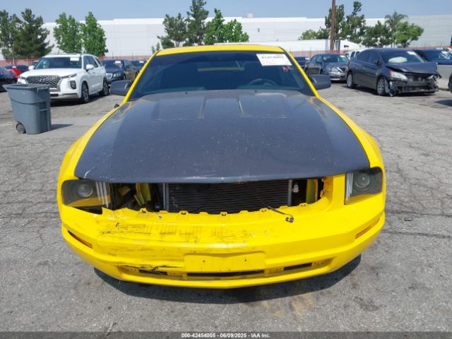 2006 FORD MUSTANG 1ZVFT80N265174513 Photo 5