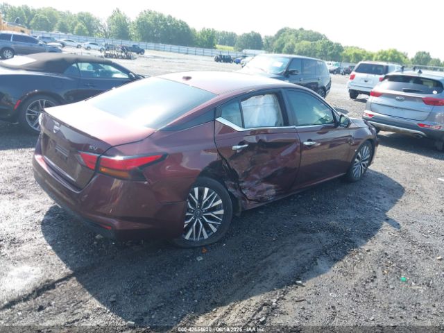 2023 NISSAN ALTIMA 1N4BL4DV9PN324581 Photo 3
