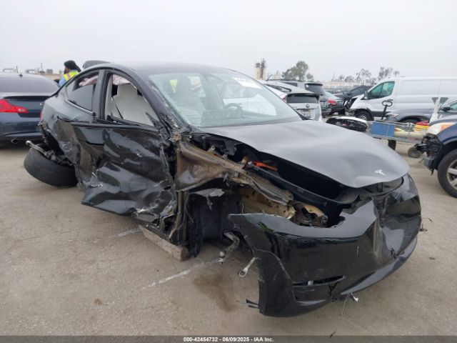 2023 TESLA MODEL Y 7SAYGDEFXPF945412