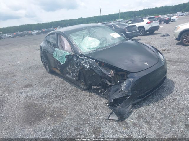 2023 TESLA MODEL Y 7SAYGDEF1PF940941