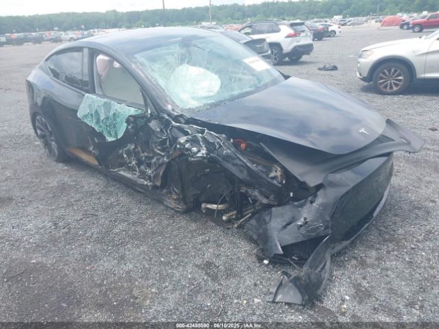 2023 TESLA MODEL Y 7SAYGDEF1PF940941 Photo 5
