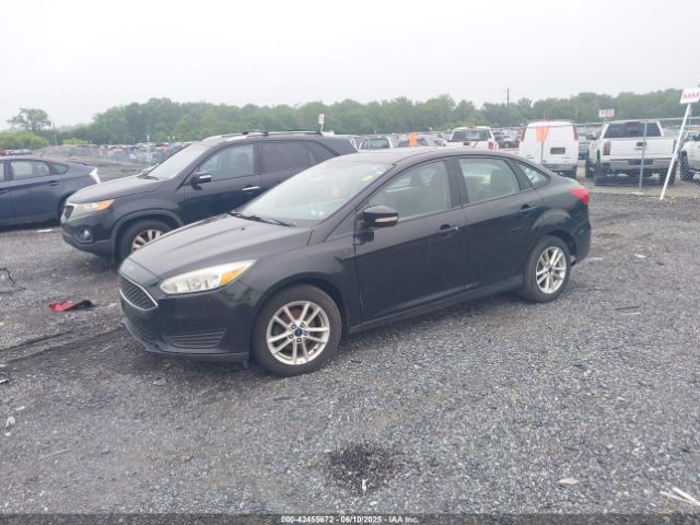 1FADP3F26FL262710 Ford FOCUS SE