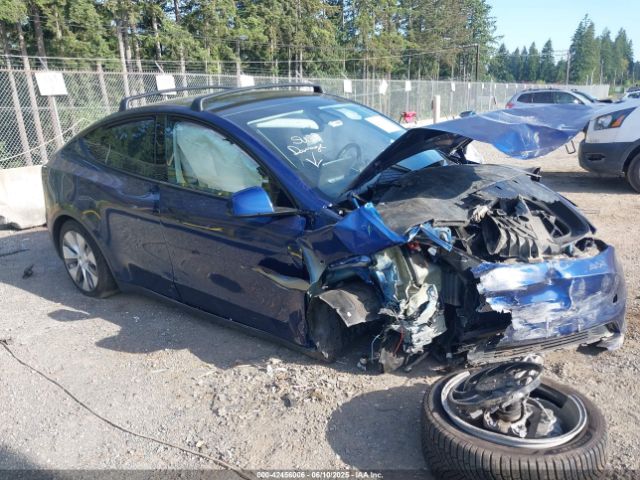 2023 TESLA MODEL Y 7SAYGDEE9PF917186 Photo 0