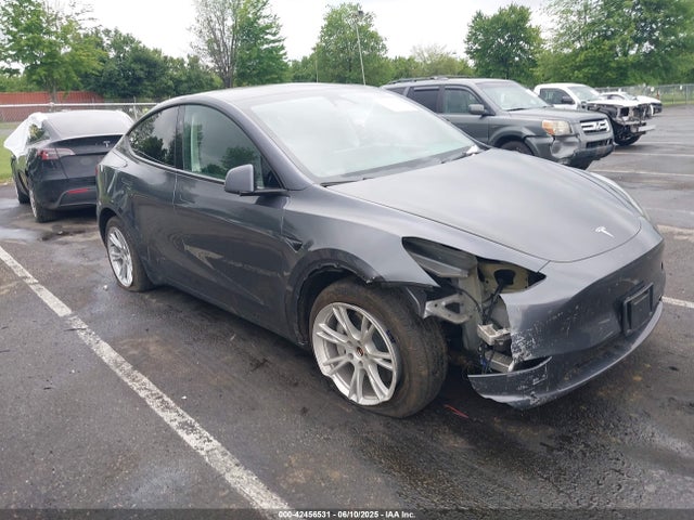 2023 TESLA MODEL Y 7SAYGDEE1PF879016 Photo 0