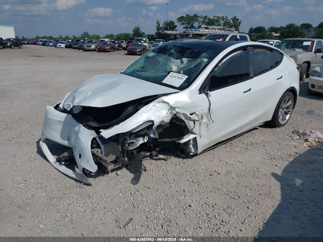 2023 TESLA MODEL Y 7SAYGDEEXPA034663 Photo 1